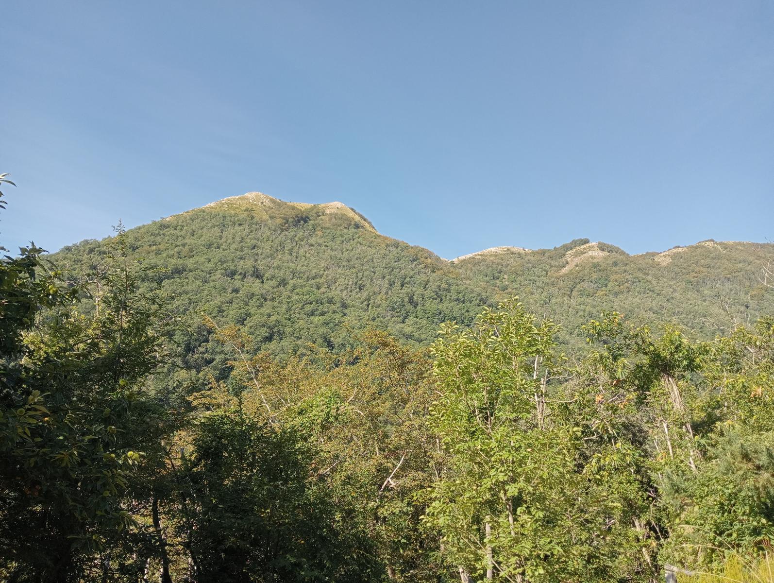 Lucese - Prana - Baita Barsi - Baita Verde - Campo all'orzo - foto 14