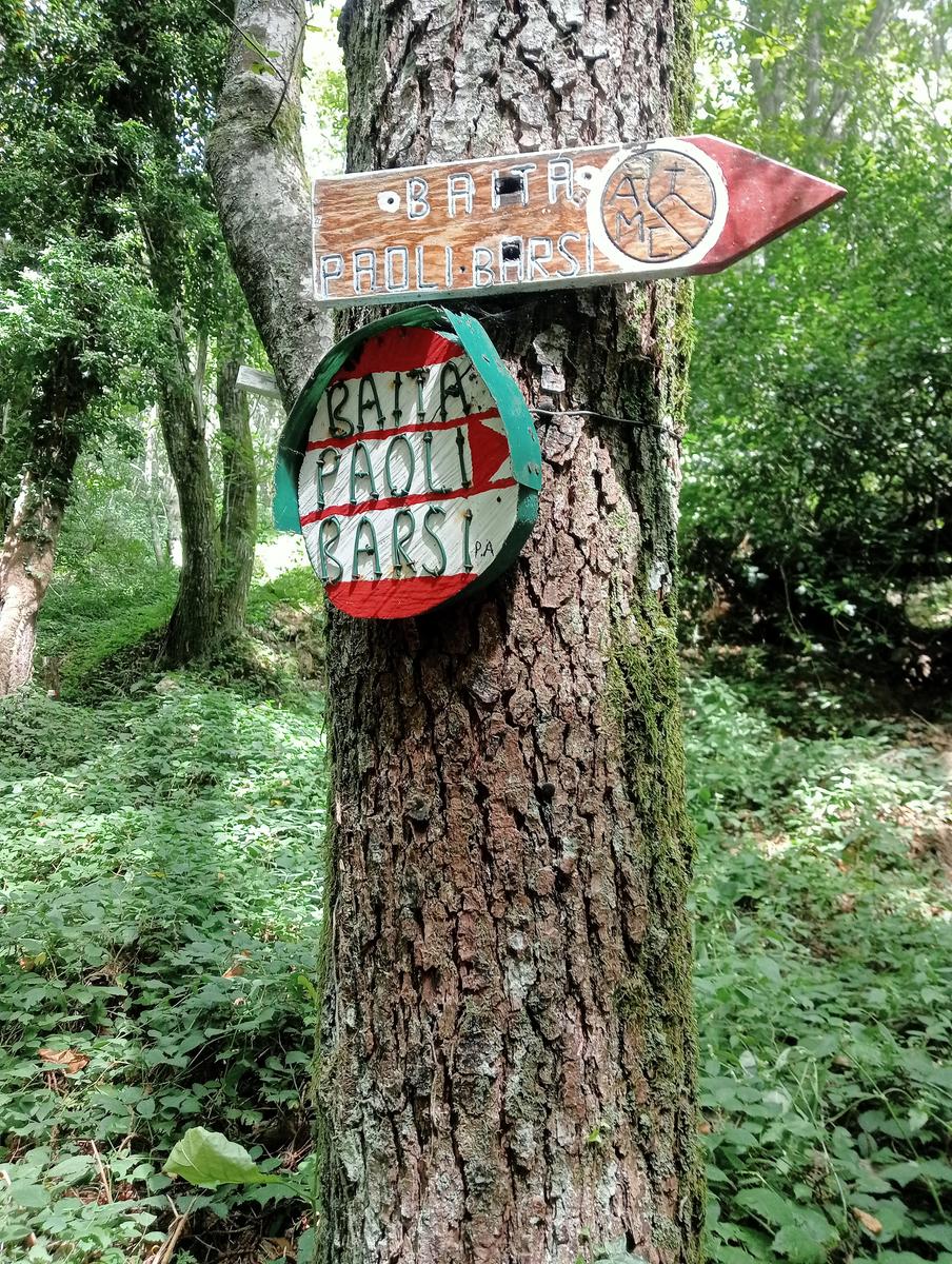 Lucese - Prana - Baita Barsi - Baita Verde - Campo all'orzo - foto 16