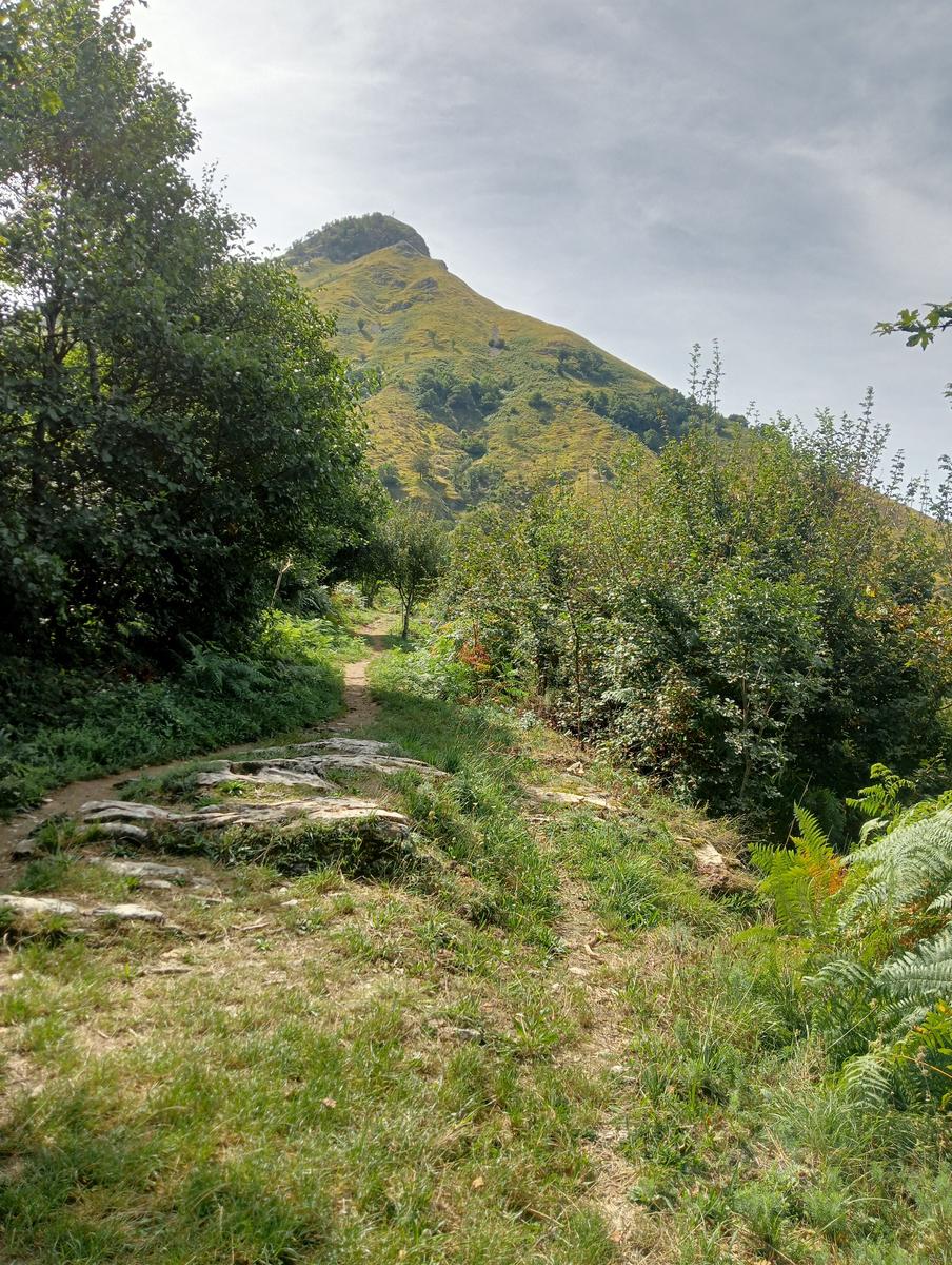 Lucese - Prana - Baita Barsi - Baita Verde - Campo all'orzo - foto 17