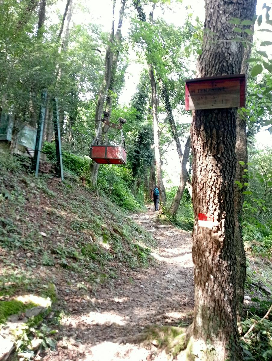 Lucese - Prana - Baita Barsi - Baita Verde - Campo all'orzo - foto 18