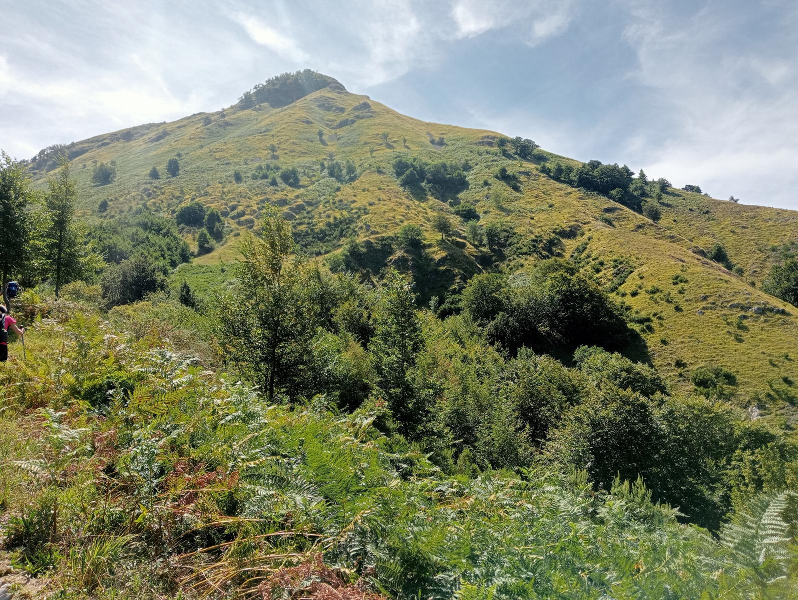 Lucese - Prana - Baita Barsi - Baita Verde - Campo all'orzo - foto 19