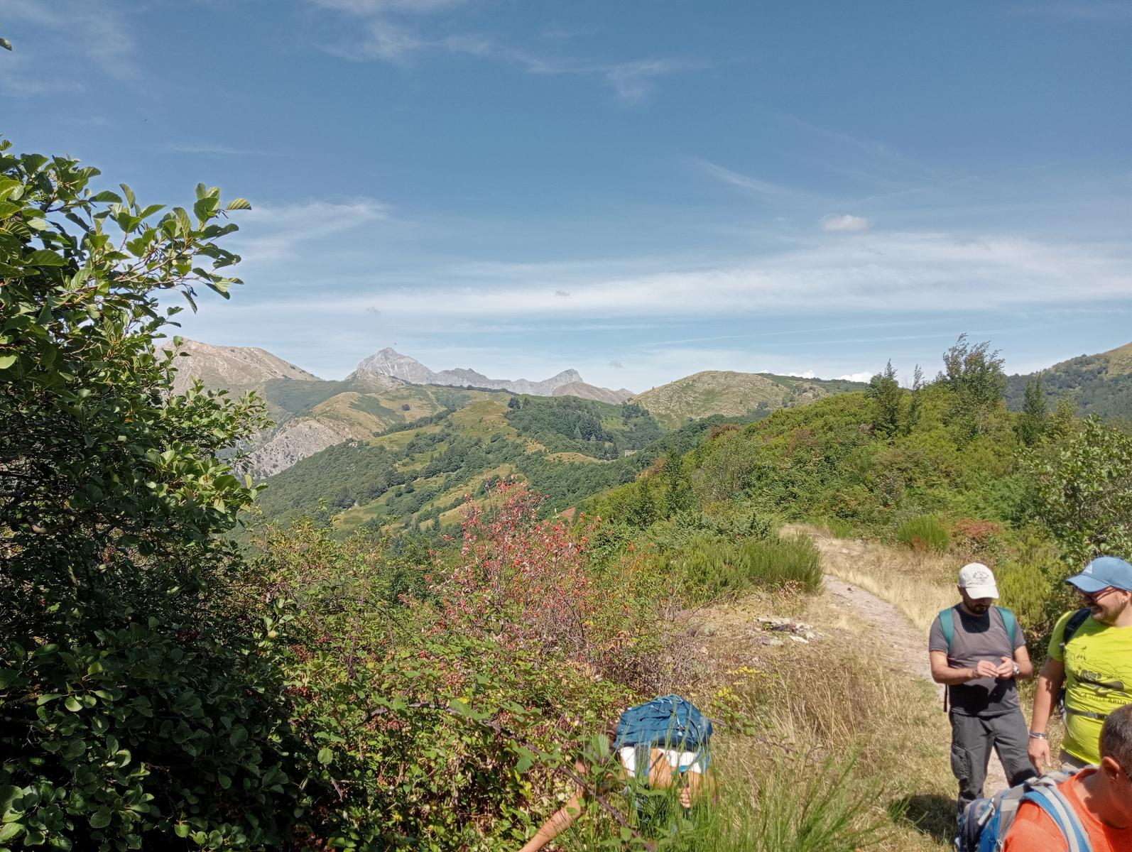 Lucese - Prana - Baita Barsi - Baita Verde - Campo all'orzo - foto 20