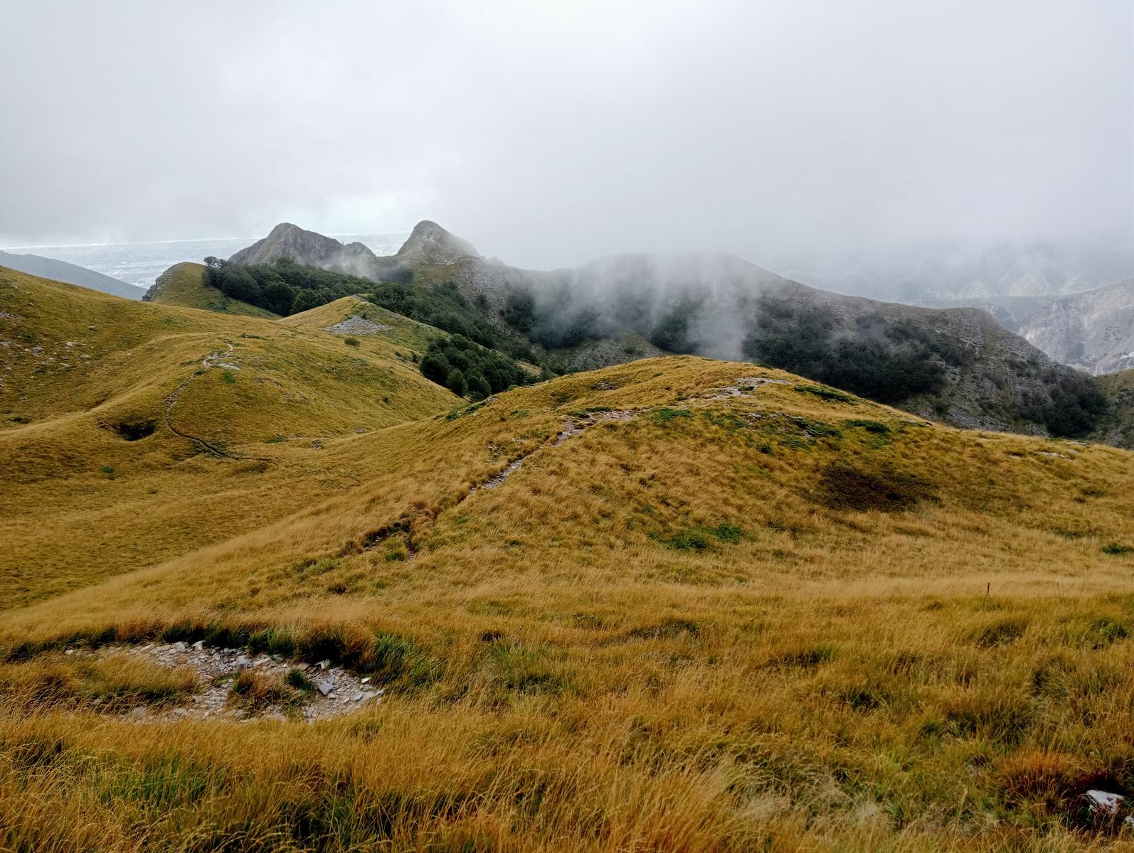Monte Sagro - Monte Faggiola - Monte Borla - Monte Ballerino - Cima di Bozzarello - Campo Cecina -Rifugio Carrara - foto 5