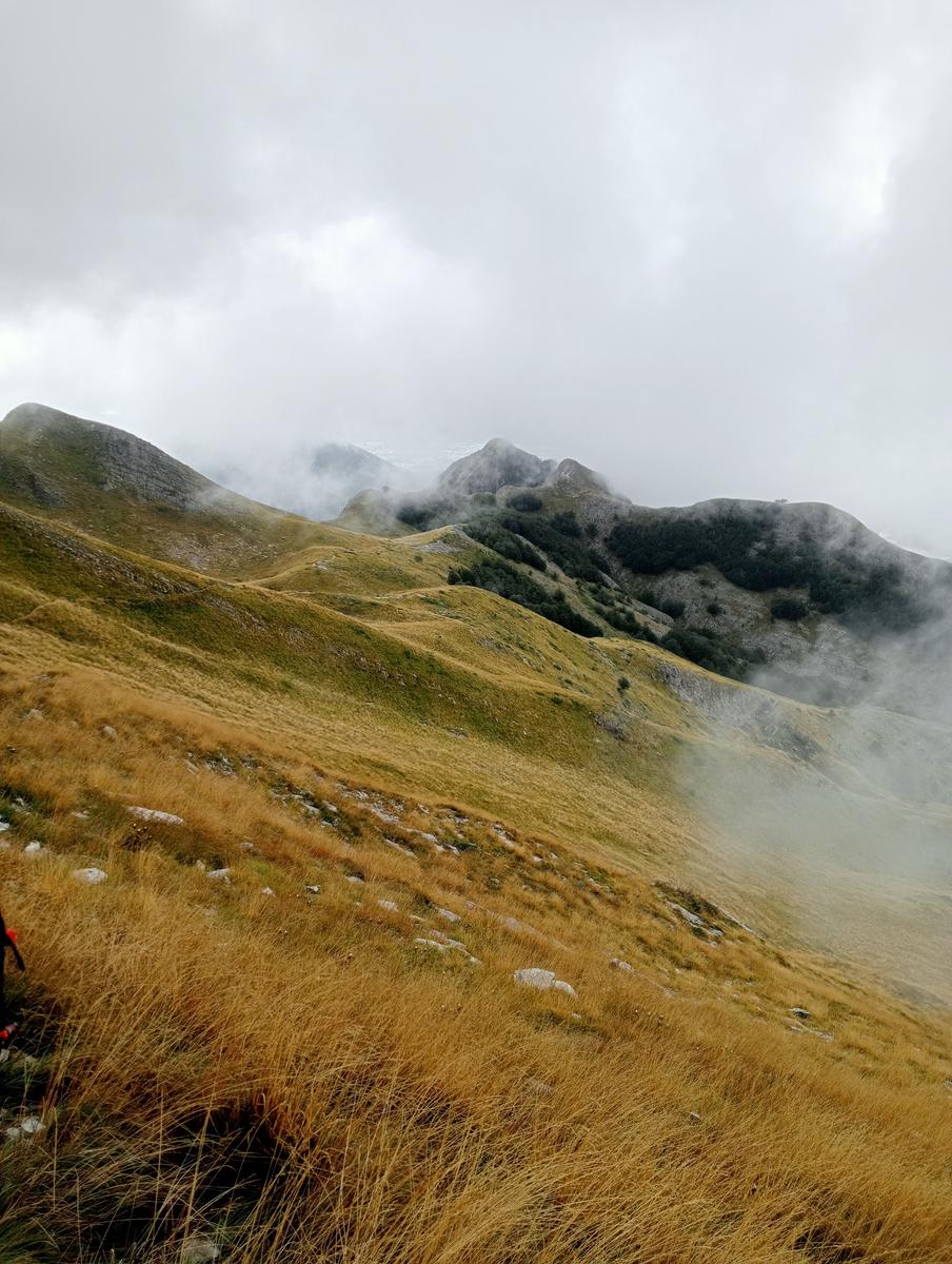 Monte Sagro - Monte Faggiola - Monte Borla - Monte Ballerino - Cima di Bozzarello - Campo Cecina -Rifugio Carrara - foto 7