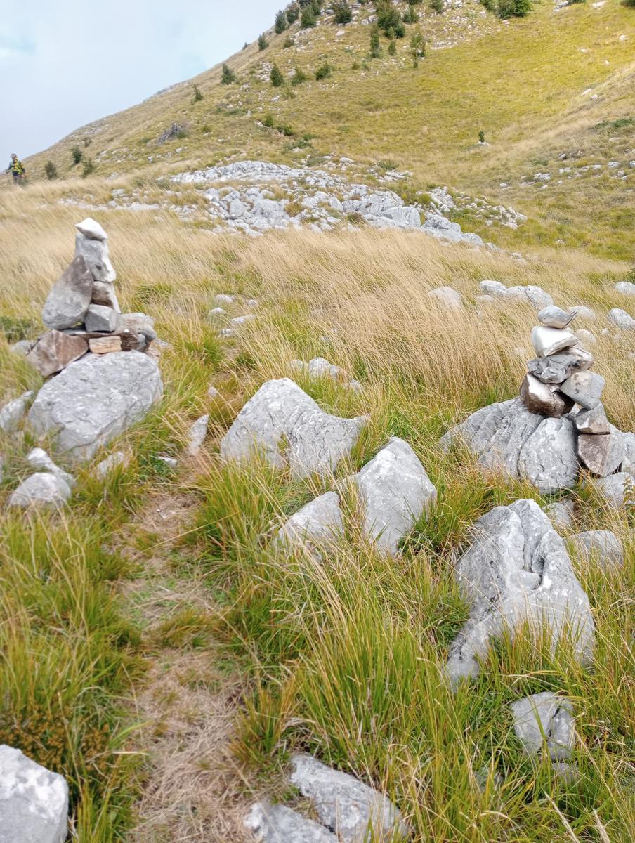 Monte Sagro - Monte Faggiola - Monte Borla - Monte Ballerino - Cima di Bozzarello - Campo Cecina -Rifugio Carrara - foto 8