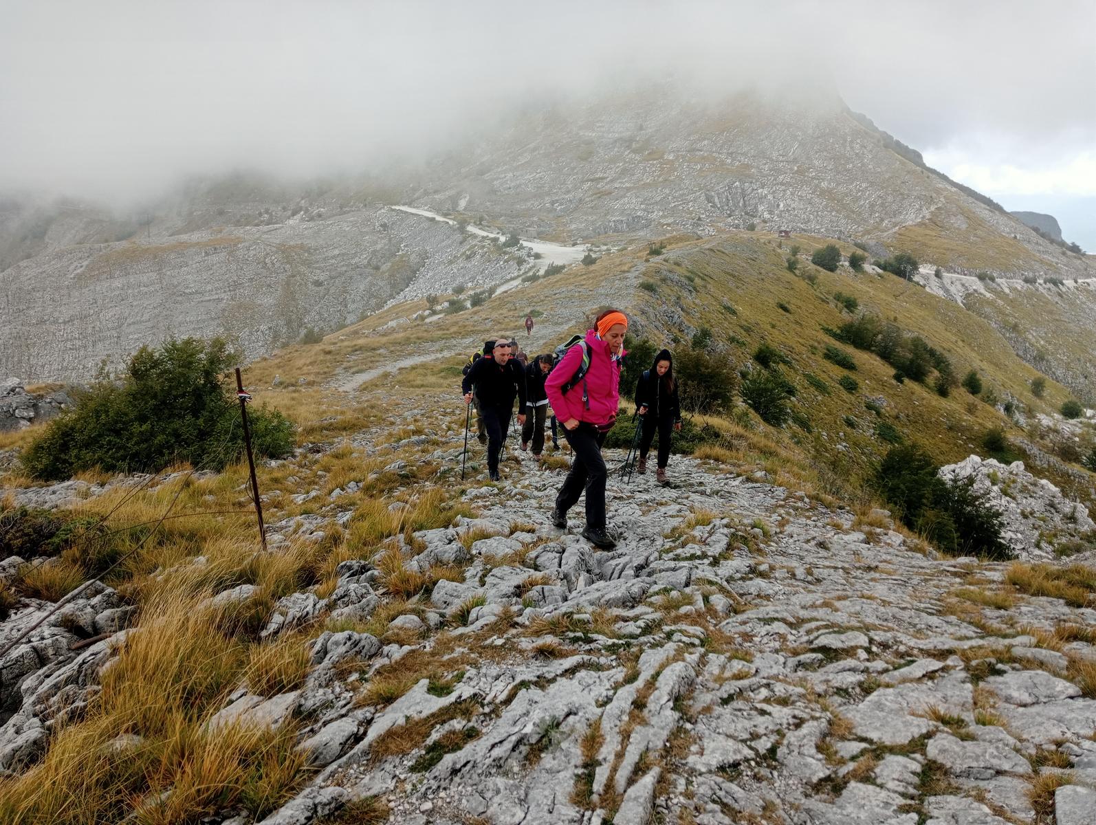 Monte Sagro - Monte Faggiola - Monte Borla - Monte Ballerino - Cima di Bozzarello - Campo Cecina -Rifugio Carrara - foto 11