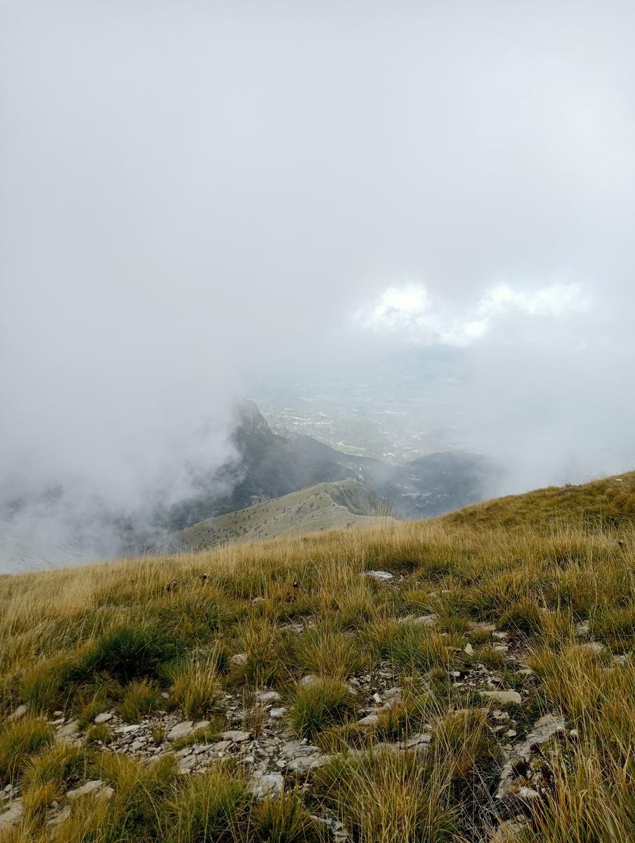 Monte Sagro - Monte Faggiola - Monte Borla - Monte Ballerino - Cima di Bozzarello - Campo Cecina -Rifugio Carrara - foto 12
