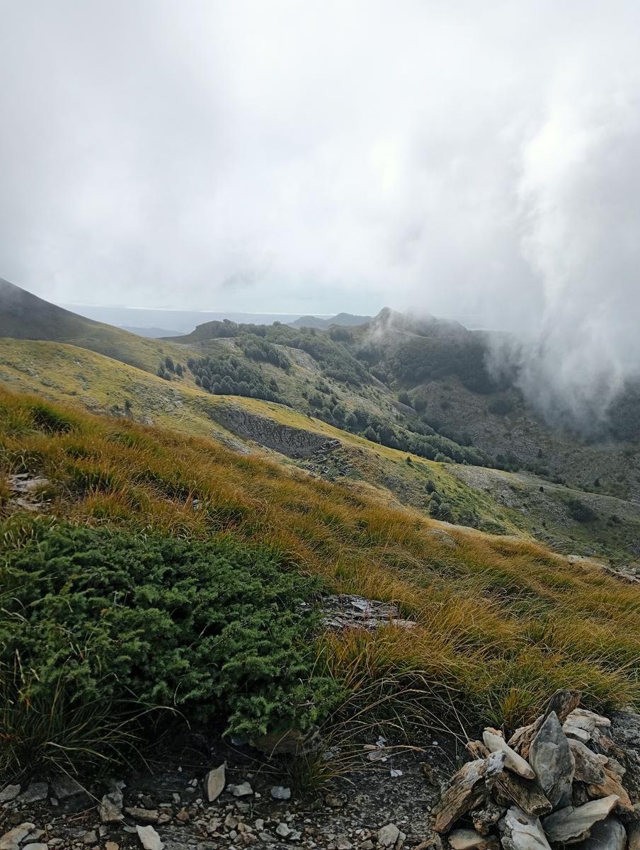 Monte Sagro - Monte Faggiola - Monte Borla - Monte Ballerino - Cima di Bozzarello - Campo Cecina -Rifugio Carrara - foto 13
