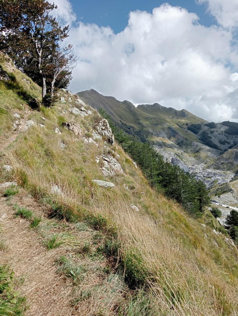 Monte Sagro - Monte Faggiola - Monte Borla - Monte Ballerino - Cima di Bozzarello - Campo Cecina -Rifugio Carrara - foto 15