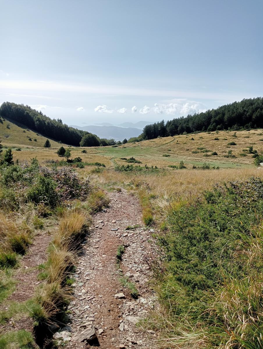 Monte Sagro - Monte Faggiola - Monte Borla - Monte Ballerino - Cima di Bozzarello - Campo Cecina -Rifugio Carrara - foto 17