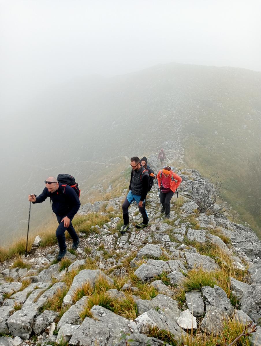 Monte Sagro - Monte Faggiola - Monte Borla - Monte Ballerino - Cima di Bozzarello - Campo Cecina -Rifugio Carrara - foto 20