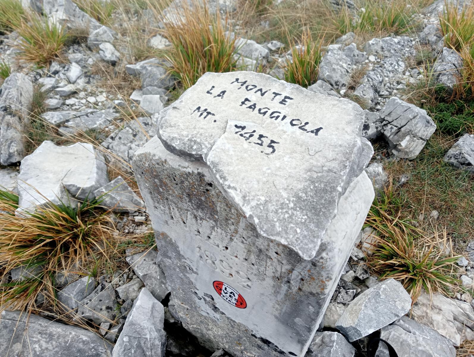 Monte Sagro - Monte Faggiola - Monte Borla - Monte Ballerino - Cima di Bozzarello - Campo Cecina -Rifugio Carrara - foto 21