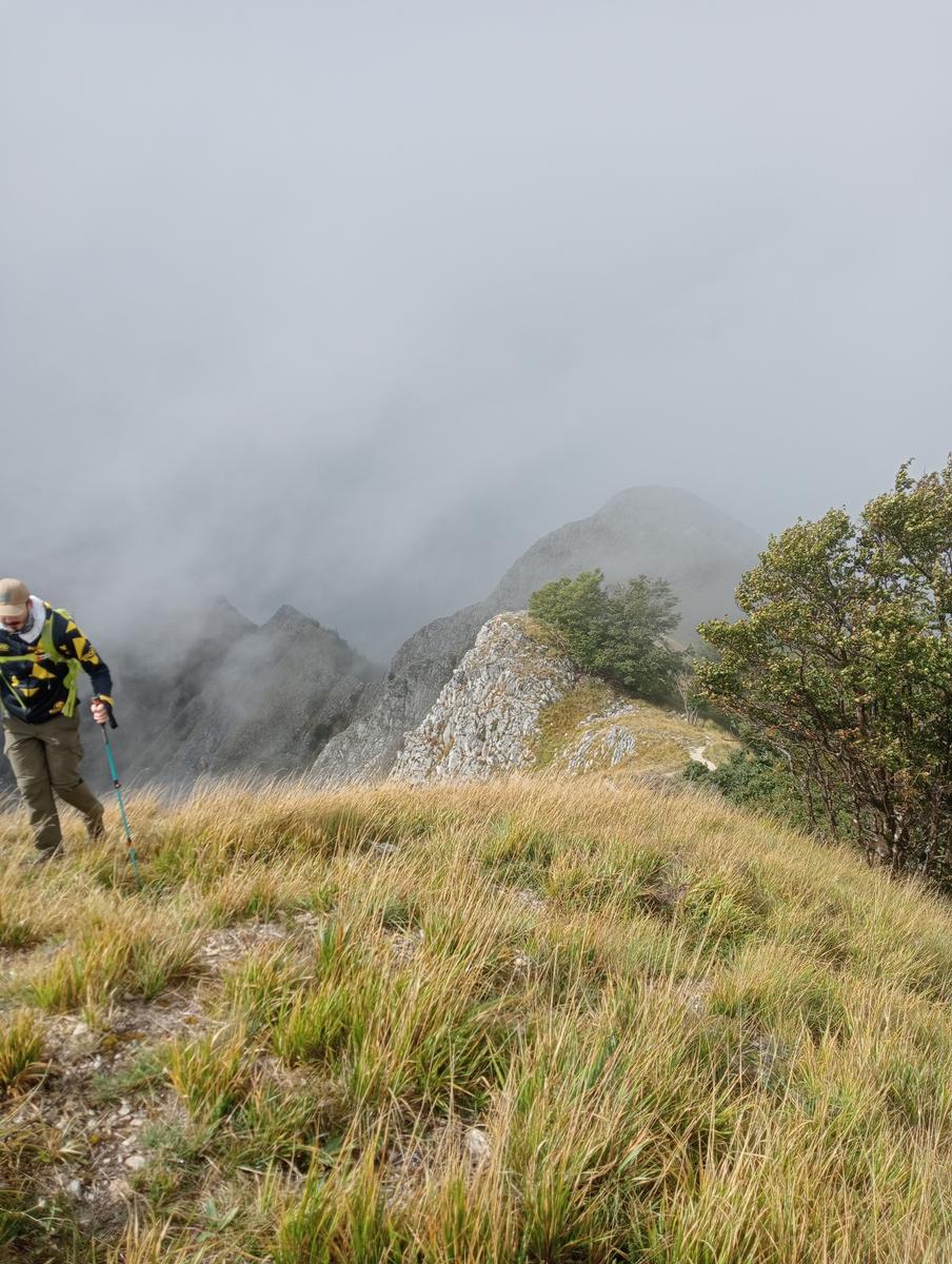 Monte Sagro - Monte Faggiola - Monte Borla - Monte Ballerino - Cima di Bozzarello - Campo Cecina -Rifugio Carrara - foto 22