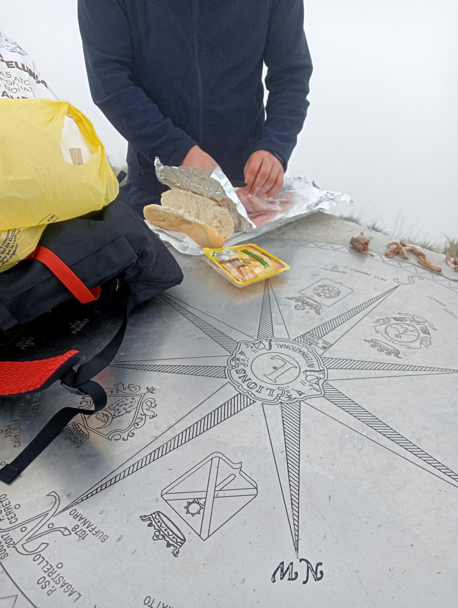 Monte Sagro - Monte Faggiola - Monte Borla - Monte Ballerino - Cima di Bozzarello - Campo Cecina -Rifugio Carrara - foto 23