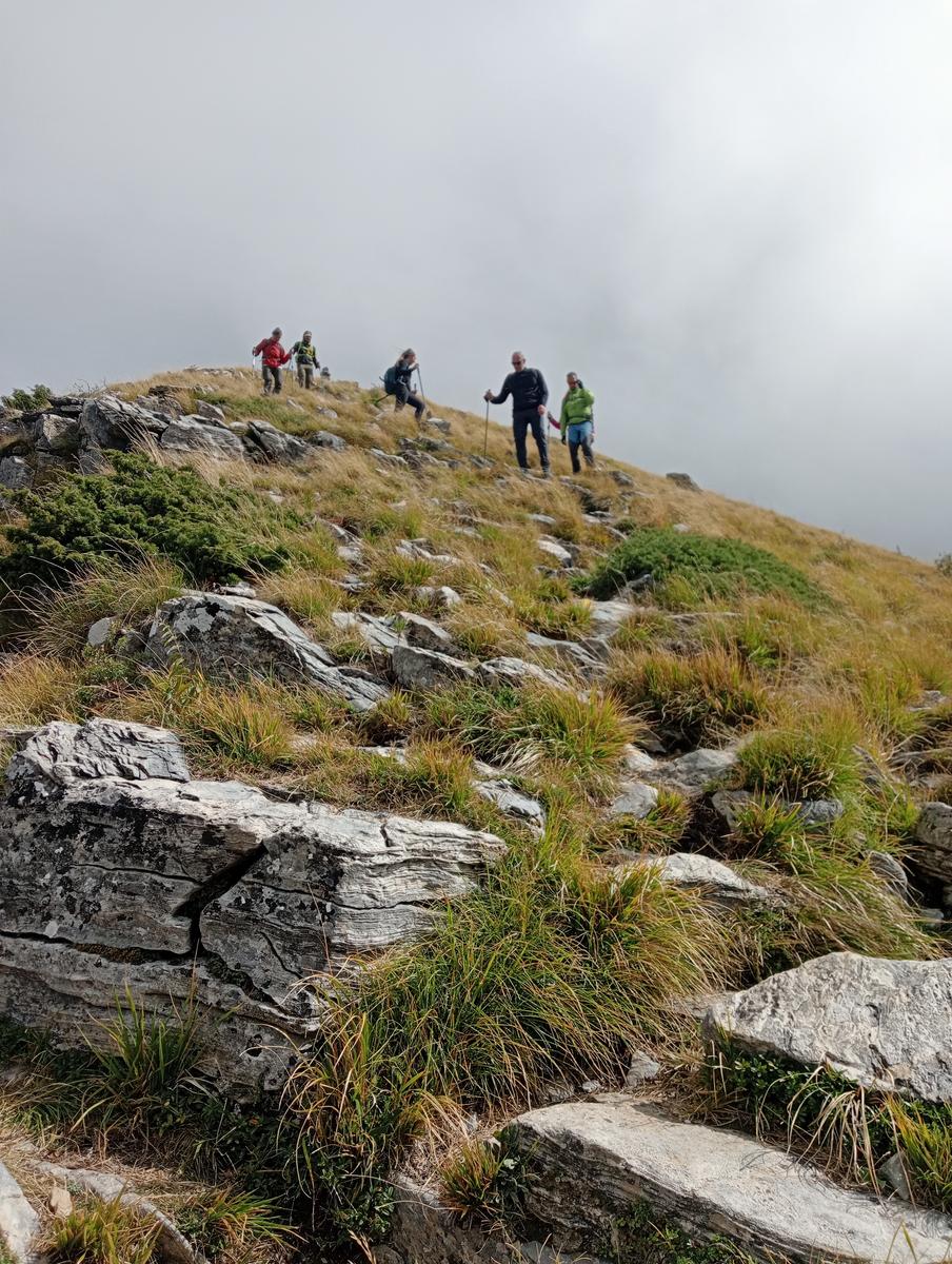 Monte Sagro - Monte Faggiola - Monte Borla - Monte Ballerino - Cima di Bozzarello - Campo Cecina -Rifugio Carrara - foto 24