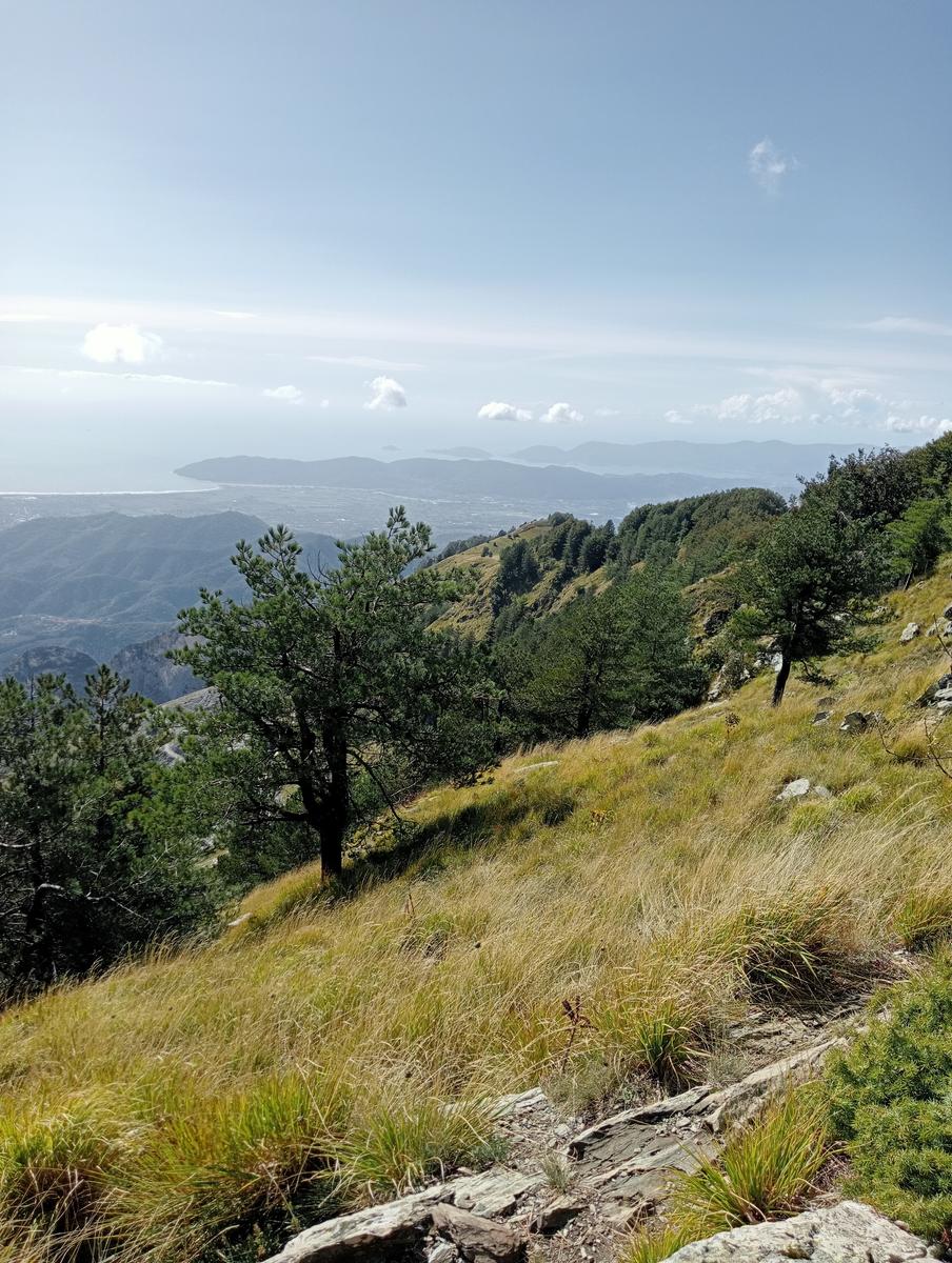 Monte Sagro - Monte Faggiola - Monte Borla - Monte Ballerino - Cima di Bozzarello - Campo Cecina -Rifugio Carrara - foto 25