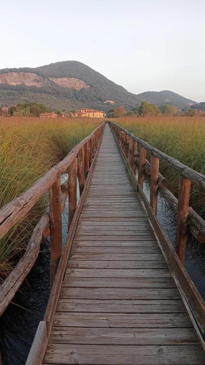 Massaciuccoli -villa di Puccini - Tempio Buddista Shintoista galleggiante - foto 3
