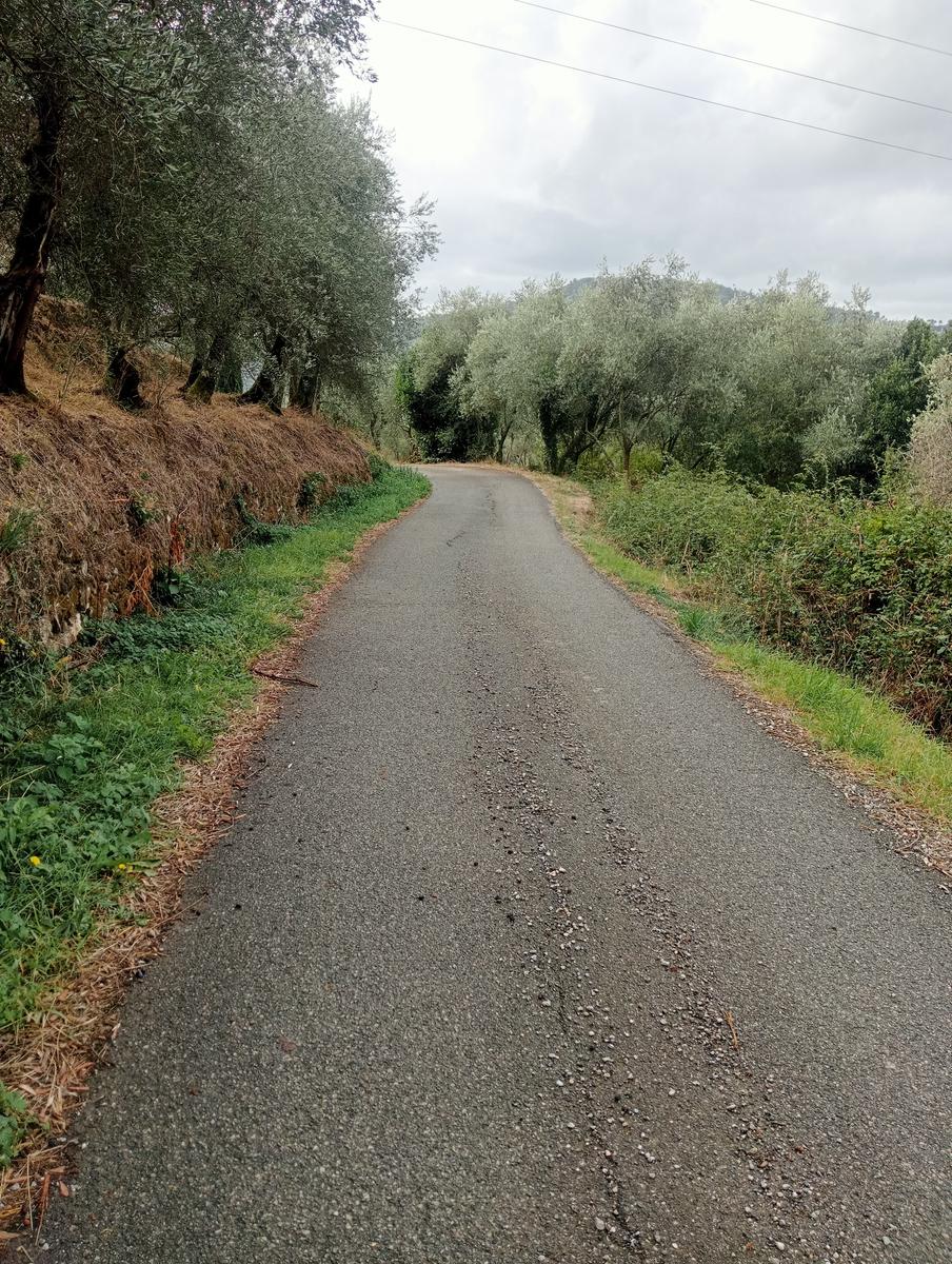 Giro a caso - foto 2