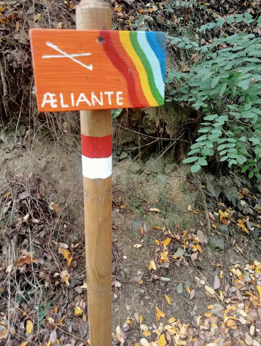 Giro a caso - foto 3