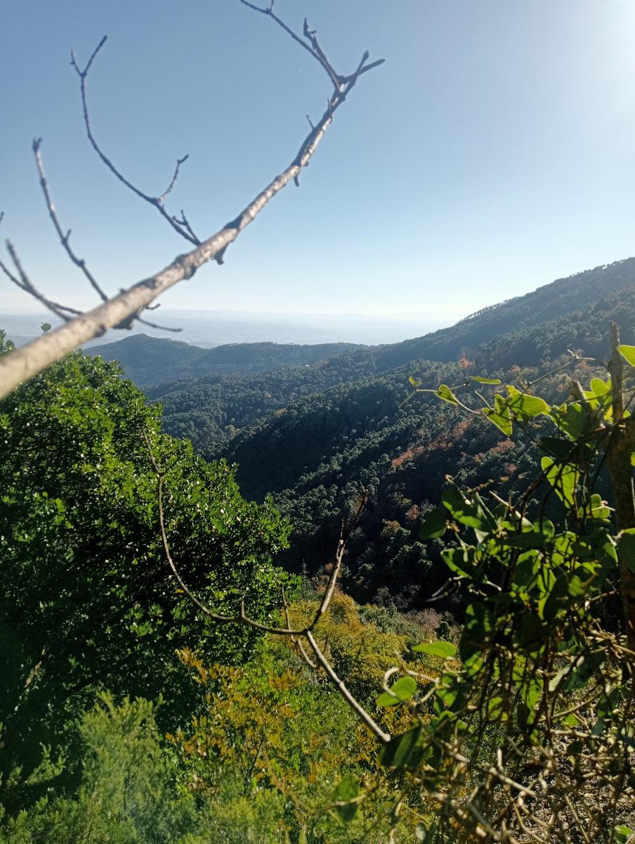 Ferrata di Buti - Ferrata di Sant'Antone - foto 12