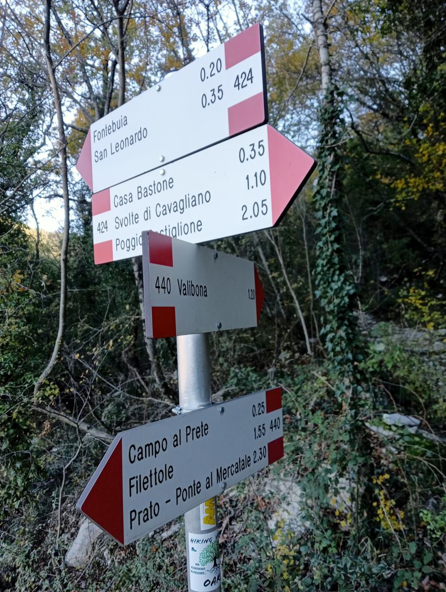 Prato - Rio Buti - Monte Maggiore - Croce della Retaia - foto 4