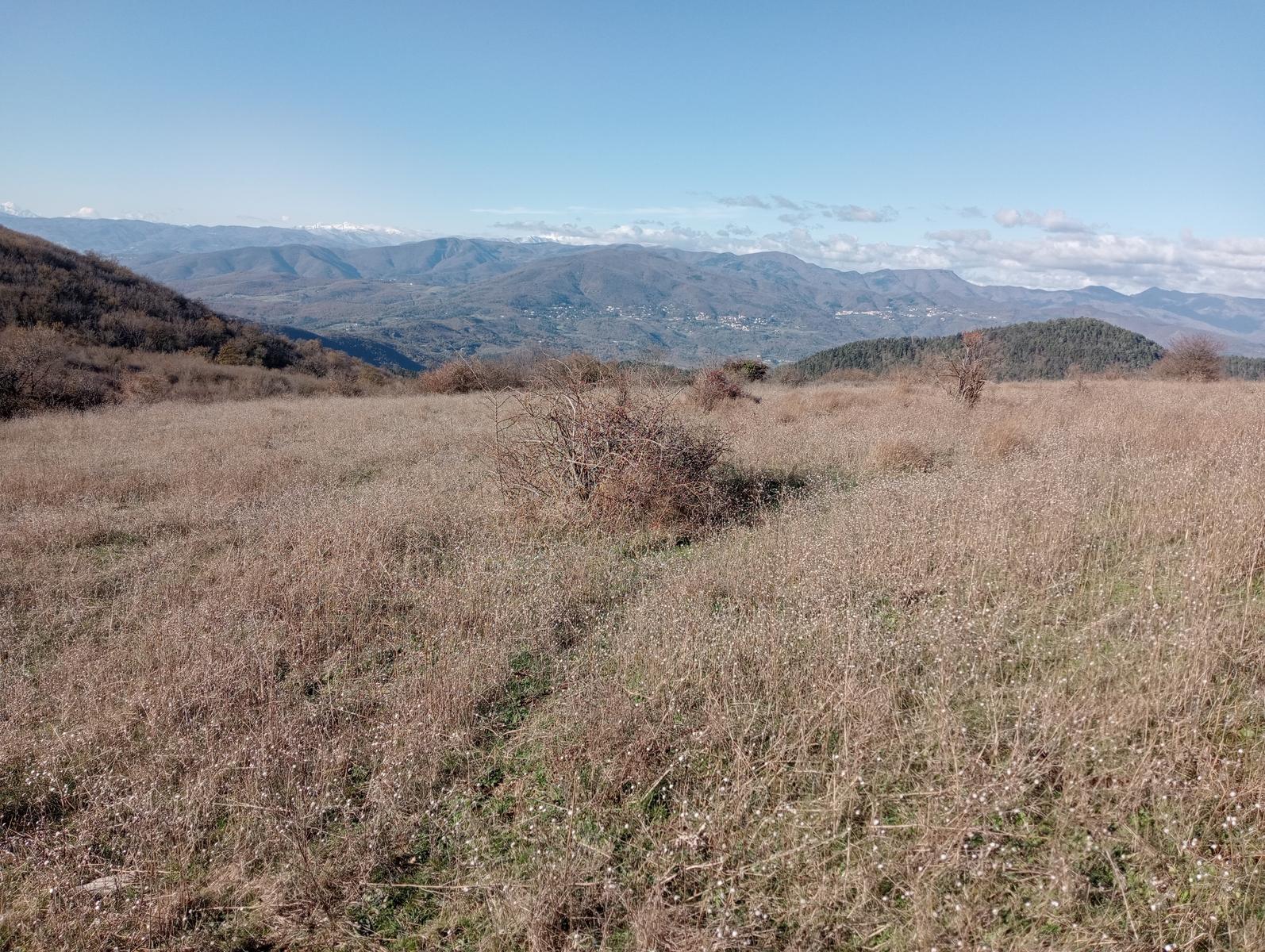 Prato - Rio Buti - Monte Maggiore - Croce della Retaia - foto 5