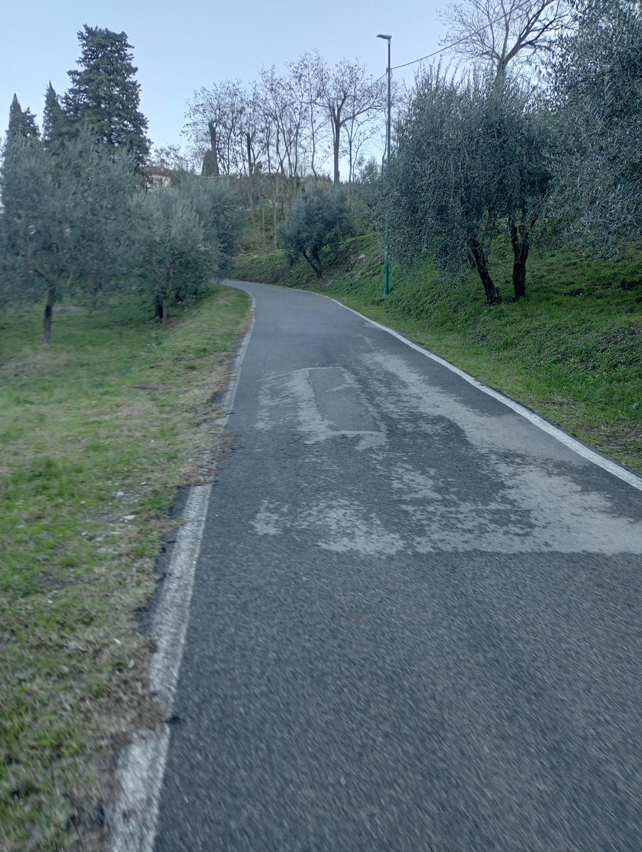 Prato - Rio Buti - Monte Maggiore - Croce della Retaia - foto 7