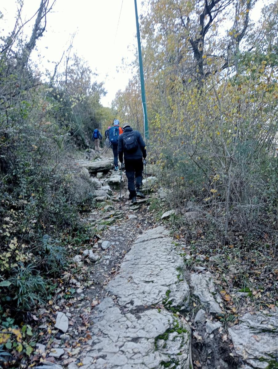 Prato - Rio Buti - Monte Maggiore - Croce della Retaia - foto 9