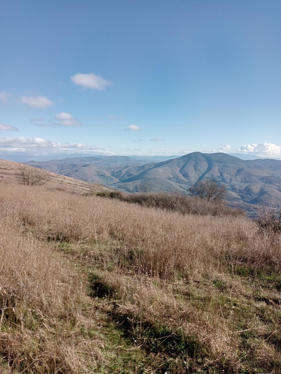 Prato - Rio Buti - Monte Maggiore - Croce della Retaia - foto 11