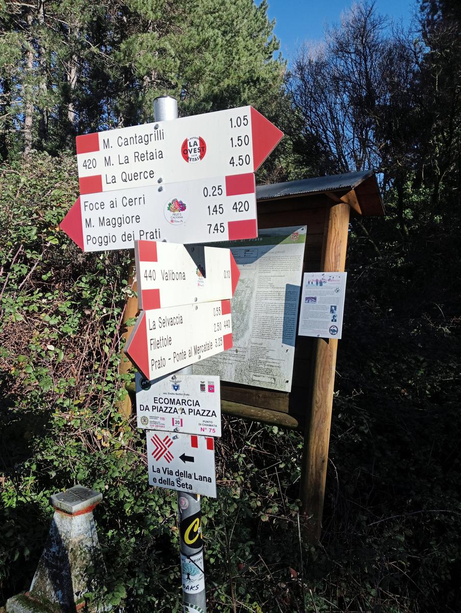 Prato - Rio Buti - Monte Maggiore - Croce della Retaia - foto 19