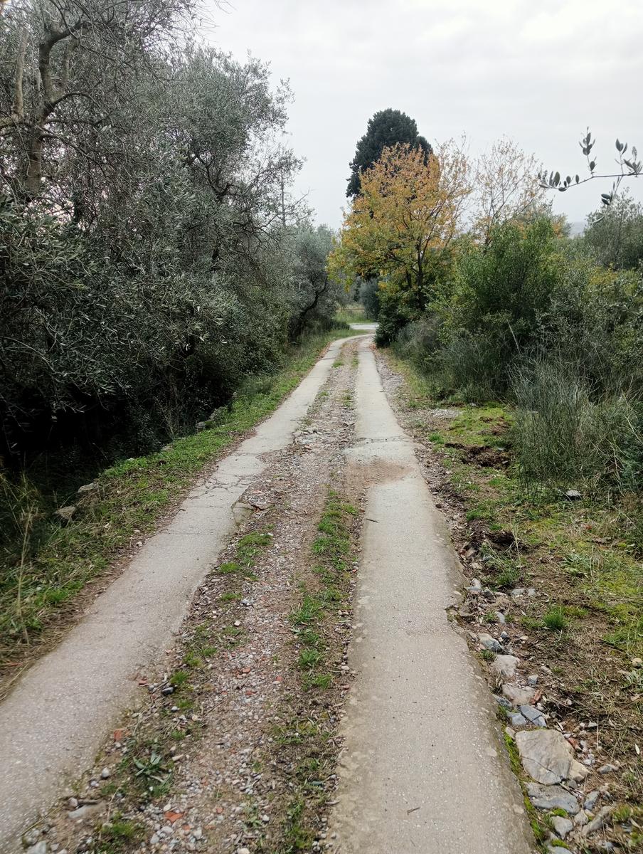 Vecchiano - Monte Spazzavento - Monte del Legnaio - Friends In Trekking - foto 4