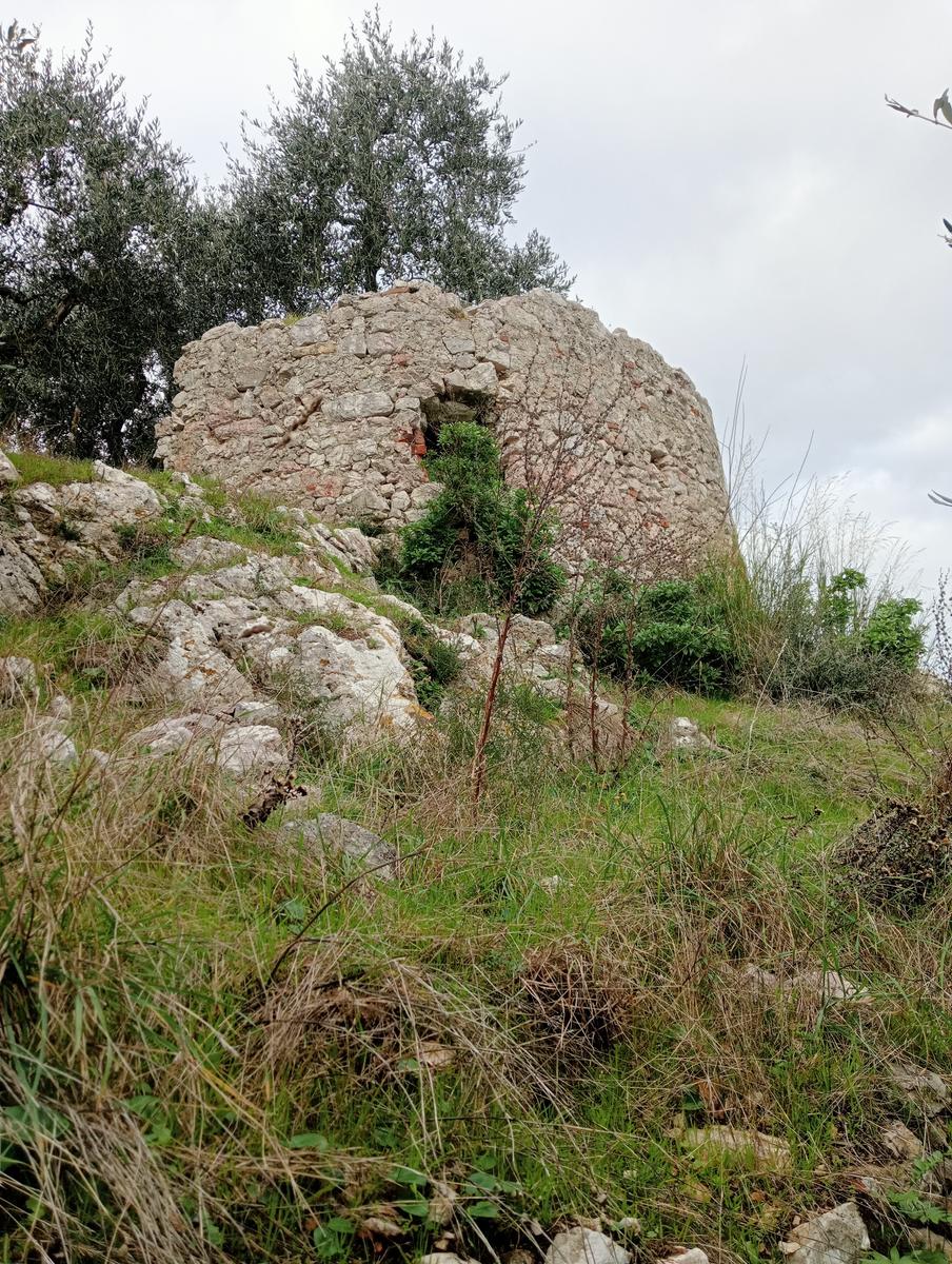 Vecchiano - Monte Spazzavento - Monte del Legnaio - Friends In Trekking - foto 7