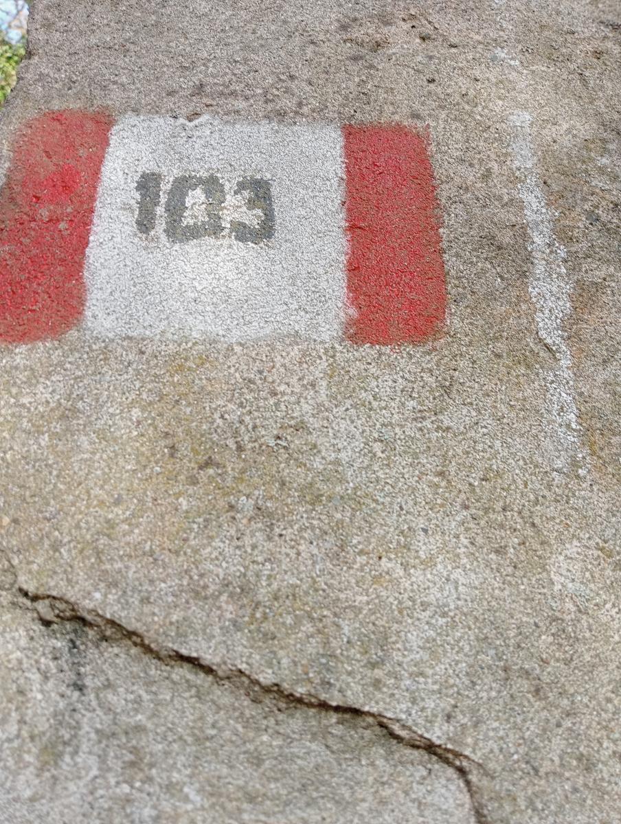 Vecchiano - Monte Spazzavento - Monte del Legnaio - Friends In Trekking - foto 11