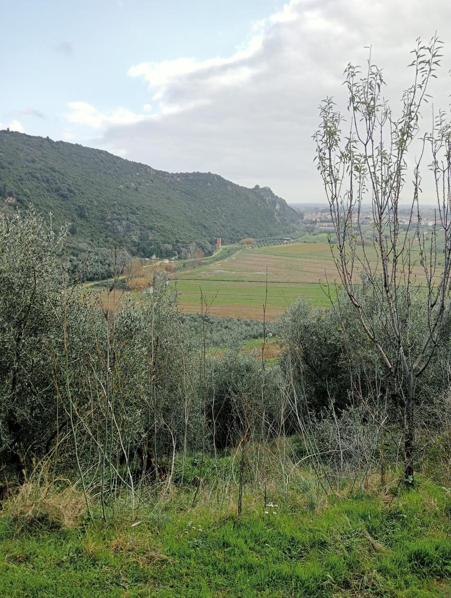 Vecchiano - Monte Spazzavento - Monte del Legnaio - Friends In Trekking - foto 12