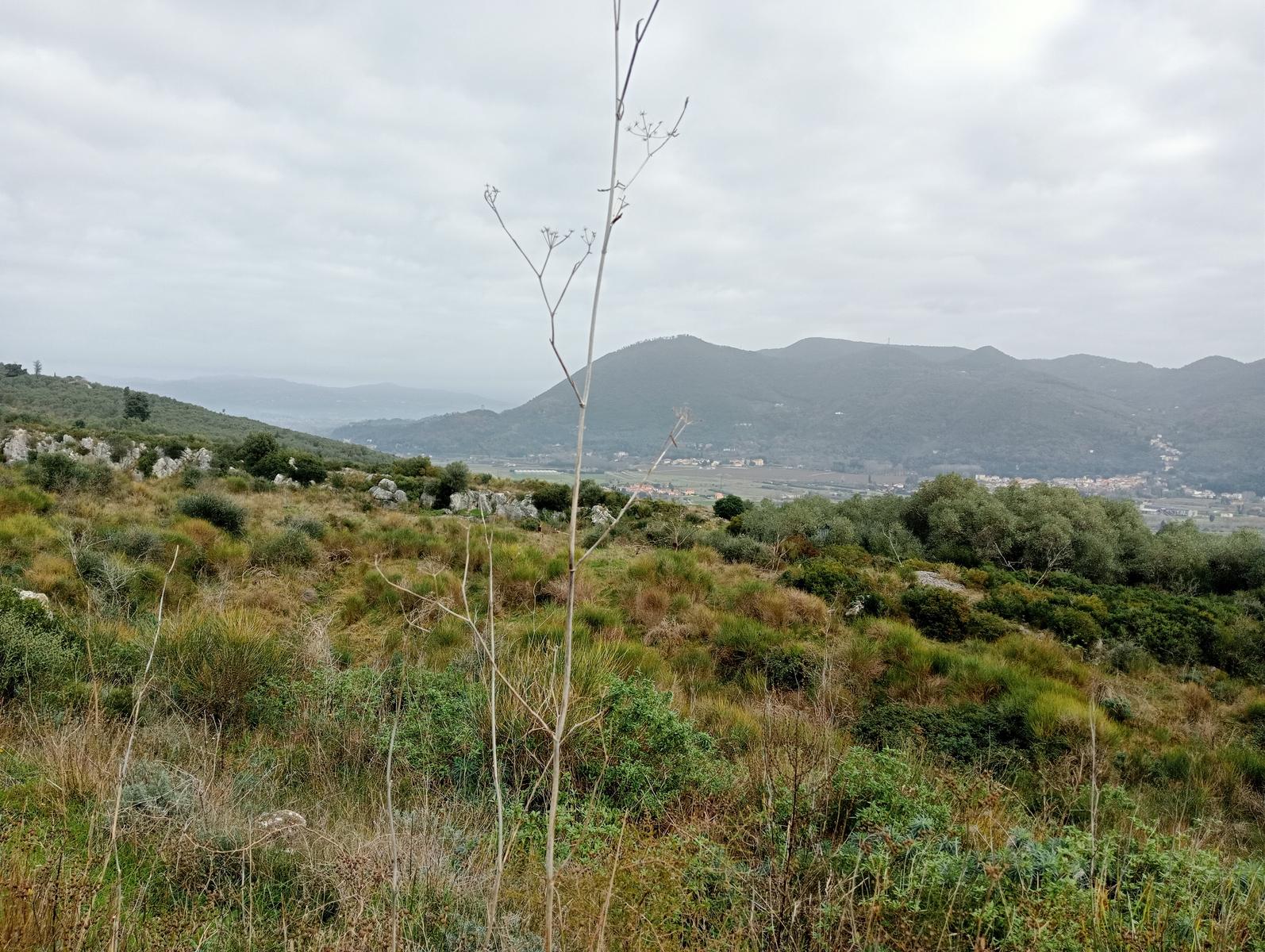 Vecchiano - Monte Spazzavento - Monte del Legnaio - Friends In Trekking - foto 14