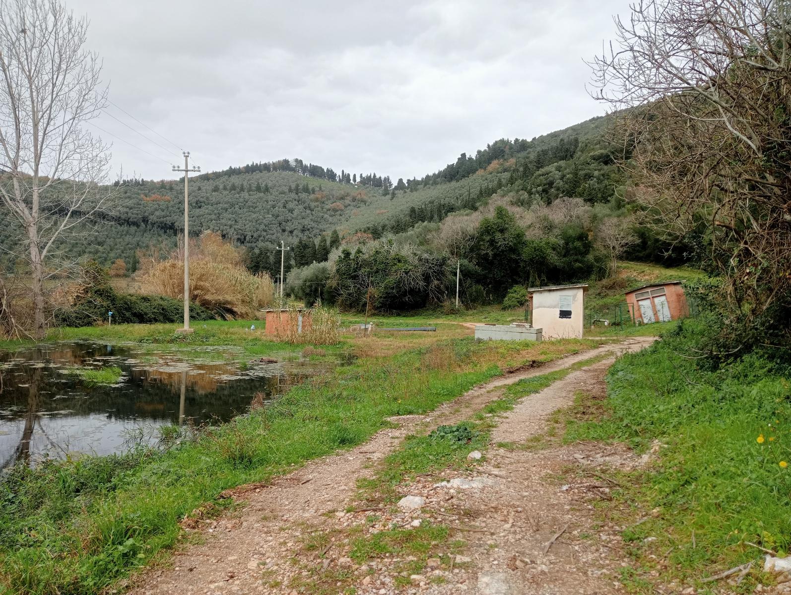 Vecchiano - Monte Spazzavento - Monte del Legnaio - Friends In Trekking - foto 17