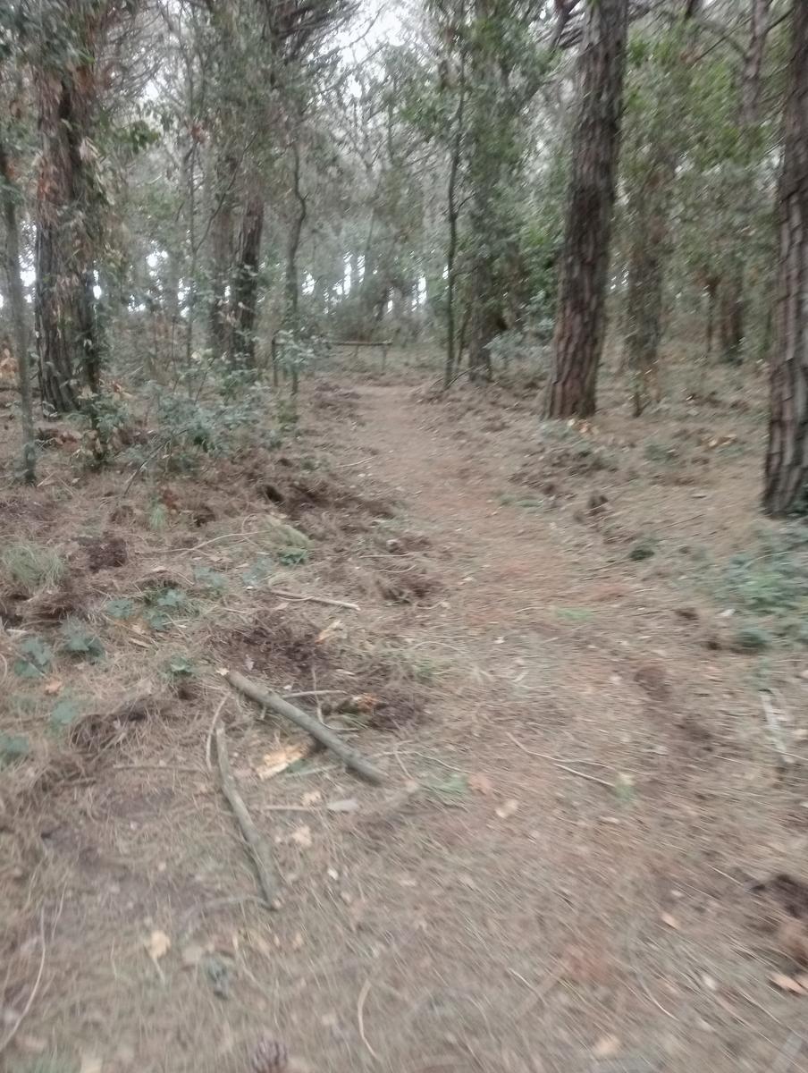 Marina di Cecina - Geocaching