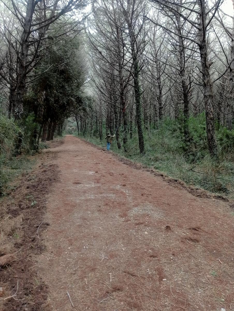 Marina di Cecina - Geocaching - foto 3