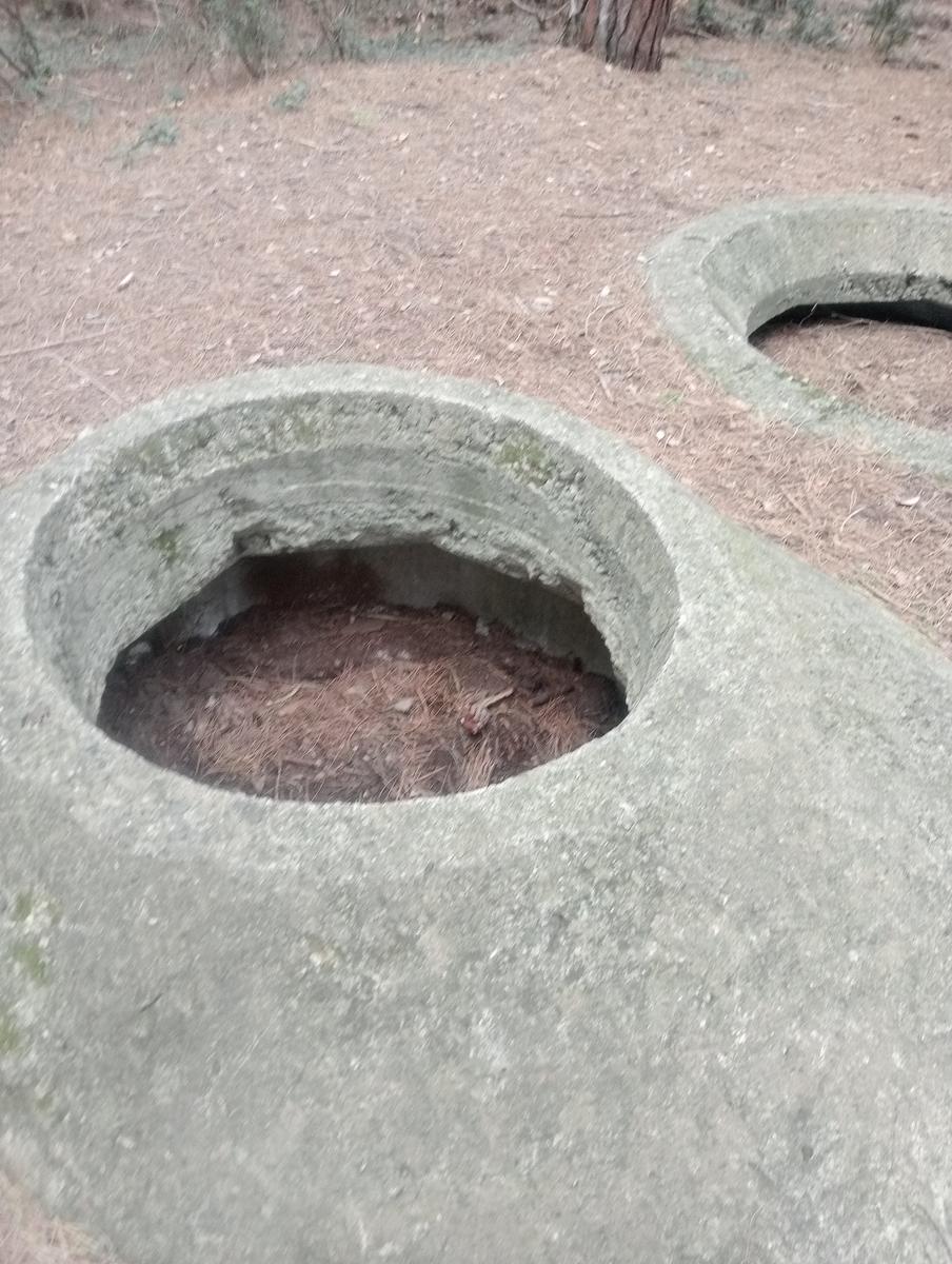 Marina di Cecina - Geocaching - foto 5