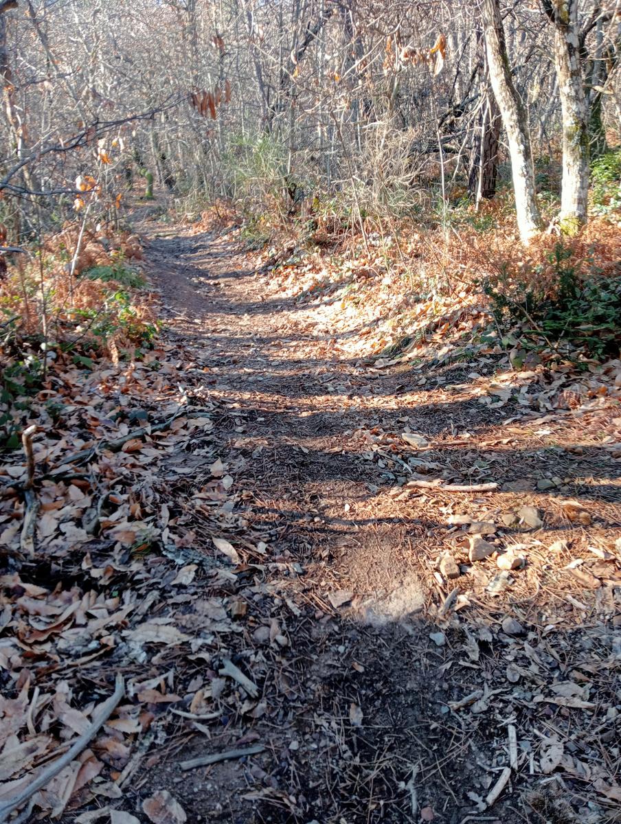 Momente serra - Monte Cimone ~ Monumento ai caduti del Vega - foto 2
