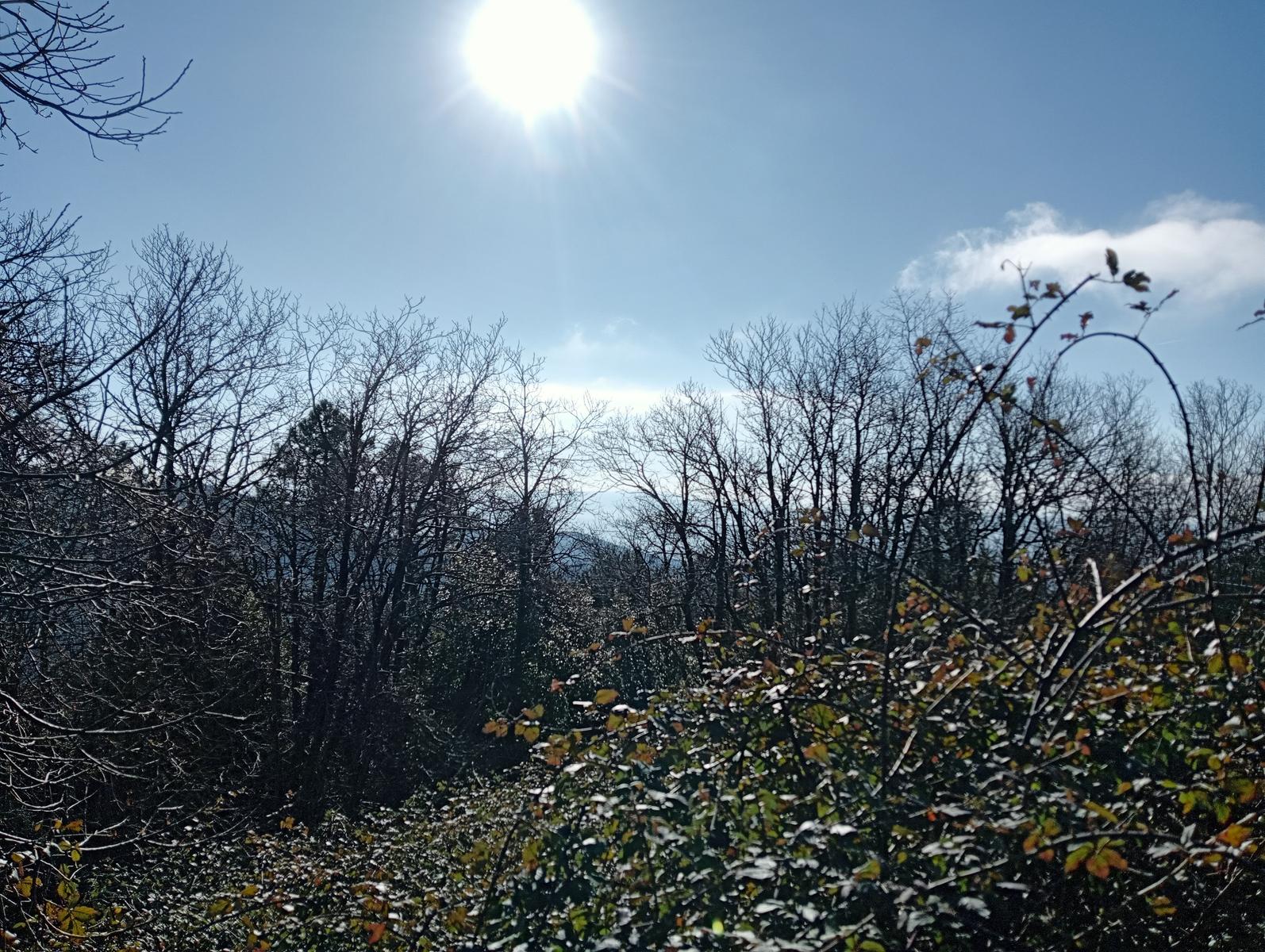 Momente serra - Monte Cimone ~ Monumento ai caduti del Vega - foto 4