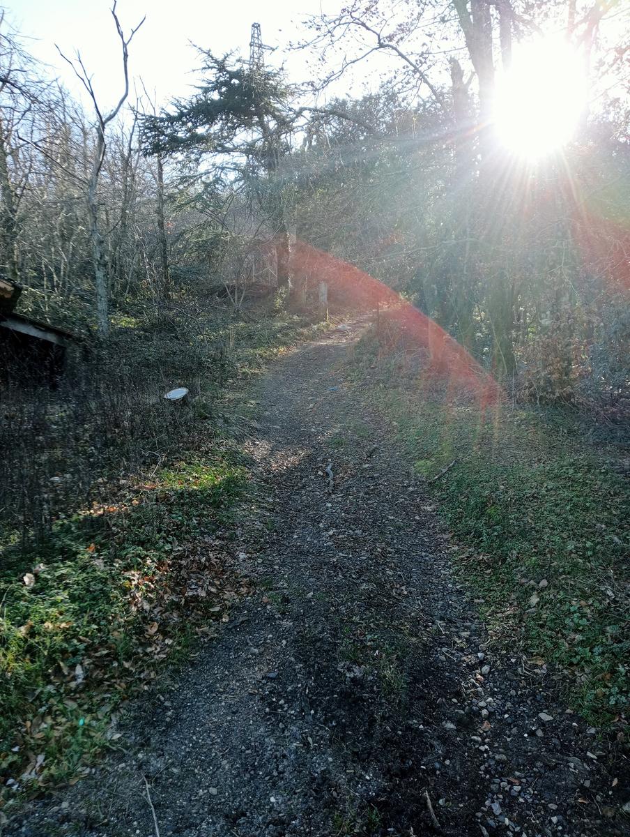 Momente serra - Monte Cimone ~ Monumento ai caduti del Vega - foto 5
