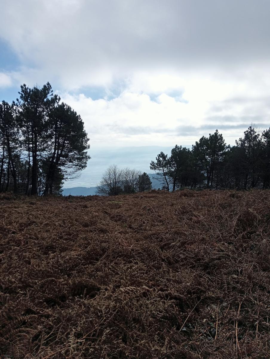 Momente serra - Monte Cimone ~ Monumento ai caduti del Vega - foto 10