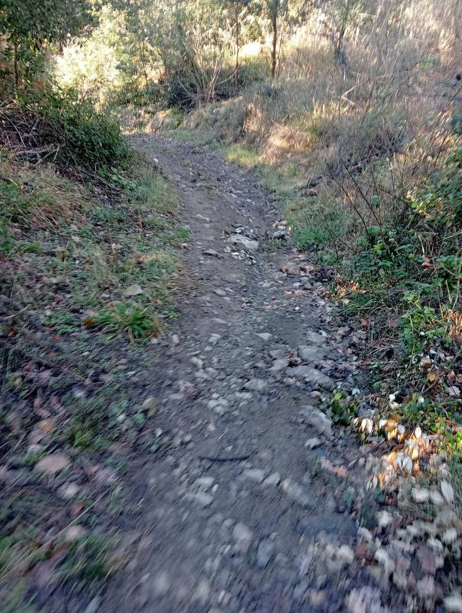 Valle Benedetta - Friends in trekking - foto 14