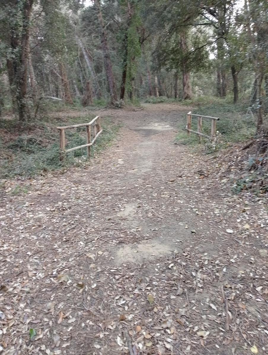 Tirrenia -Passeggiata domenicale