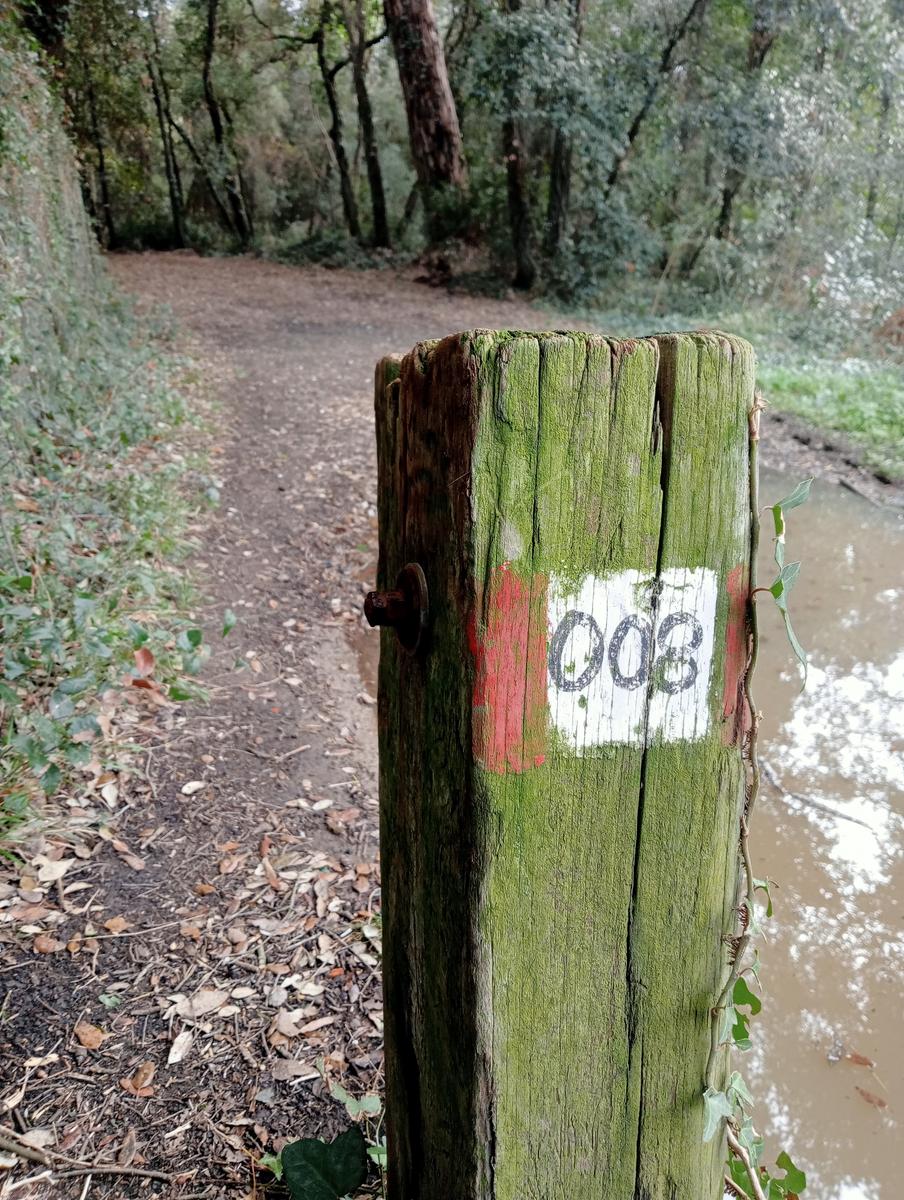 Tirrenia -Passeggiata domenicale - foto 2