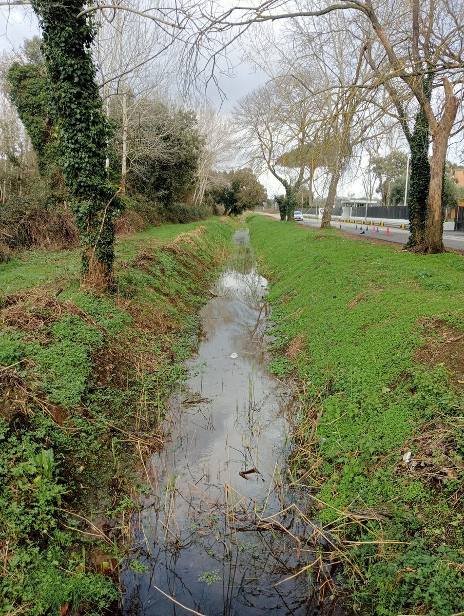 Tirrenia -Passeggiata domenicale - foto 5