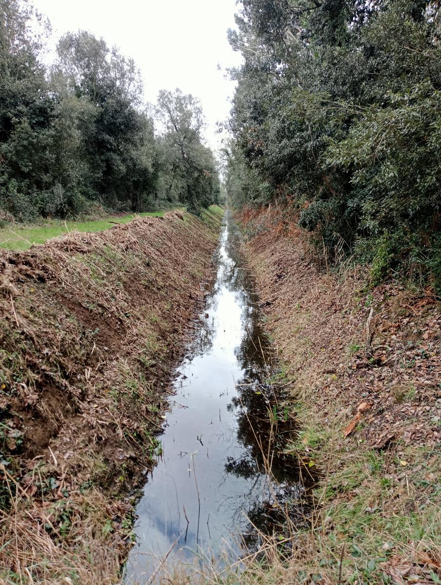 Tirrenia -Passeggiata domenicale - foto 6