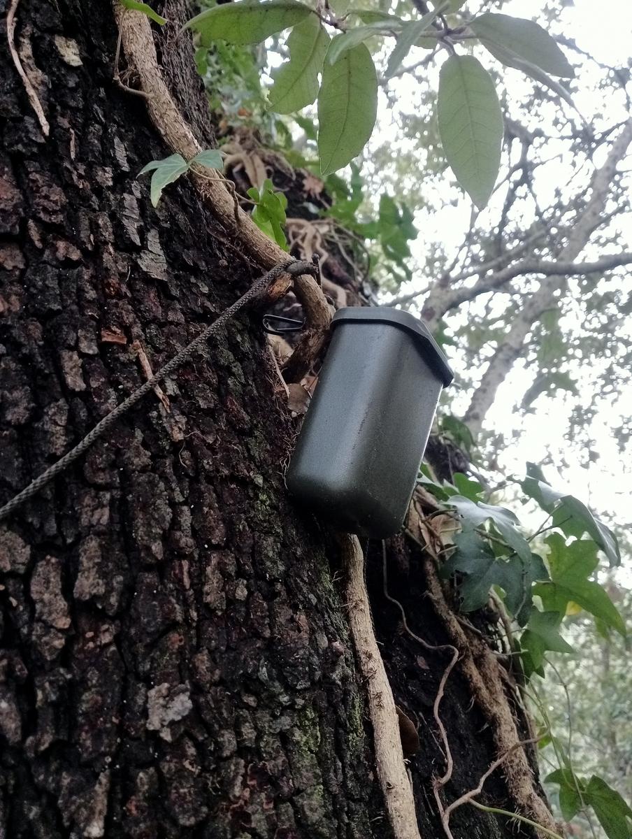 Tirrenia -Passeggiata domenicale - foto 8