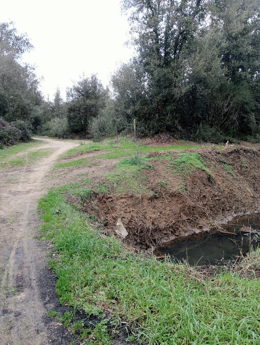 Tirrenia -Passeggiata domenicale - foto 9